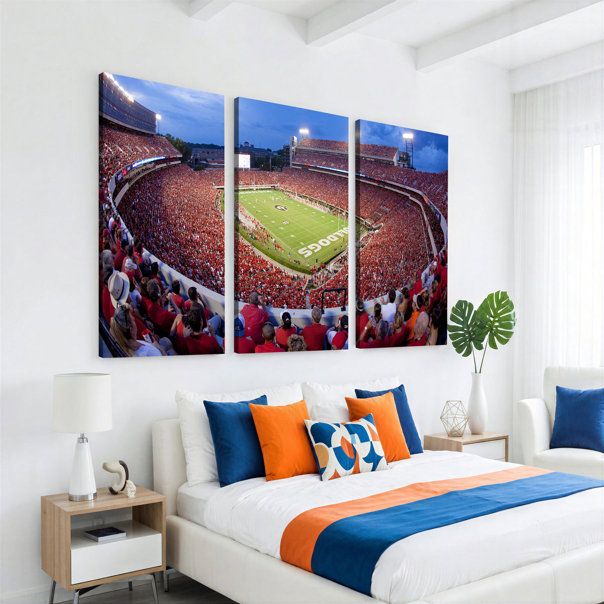 10244378-MGV-CV-36X24 - Dooley Stadium Wall Art, Sports Arena Canvas Print, Dooley Field, Home Bar Wall Decor