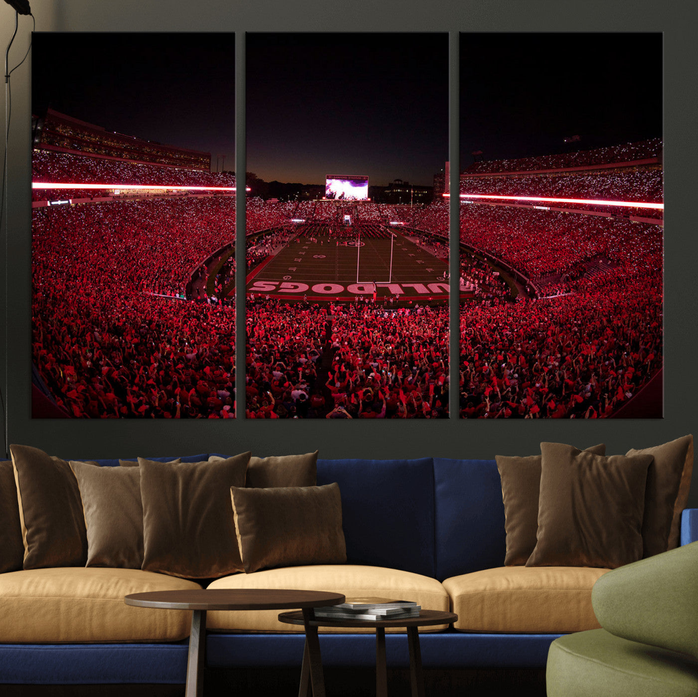 Dooley Stadium Wall Art Print, Sports Arena Canvas Wall Art, Dooley Field at Sanford Stadium Canvas Print, Modern Athletic Field Art Printing