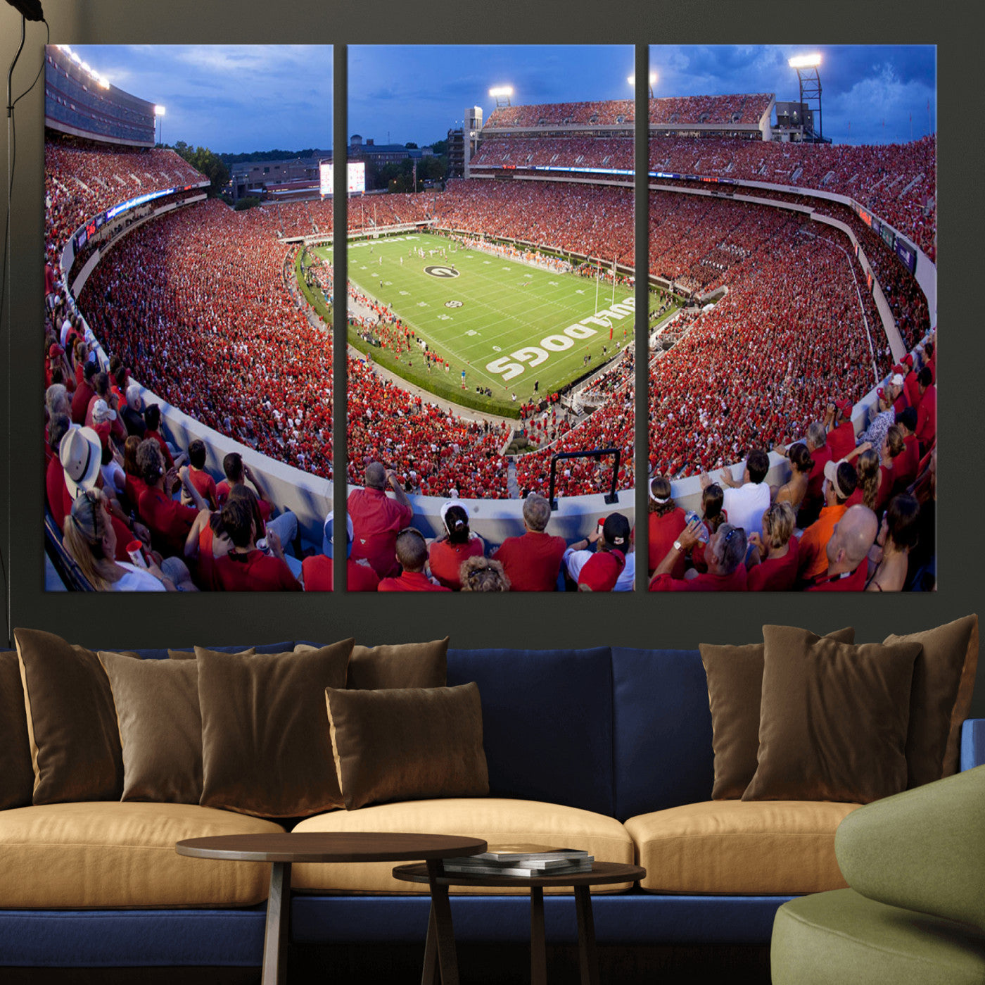 10244378-MGV-CV-48X32-3P-Dooley Stadium Wall Art Print, Sports Arena Canvas Wall Art, Dooley Field at Sanford Stadium Canvas Print, Modern Athletic Field Art Printing