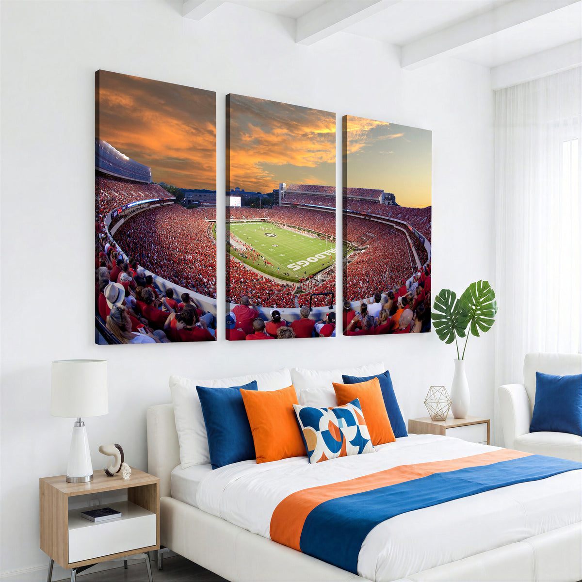 73680988-MGV-CV-36X24 - Dooley Stadium Wall Art, Sports Arena Canvas Print, Dooley Field, Framed and Ready to Hang