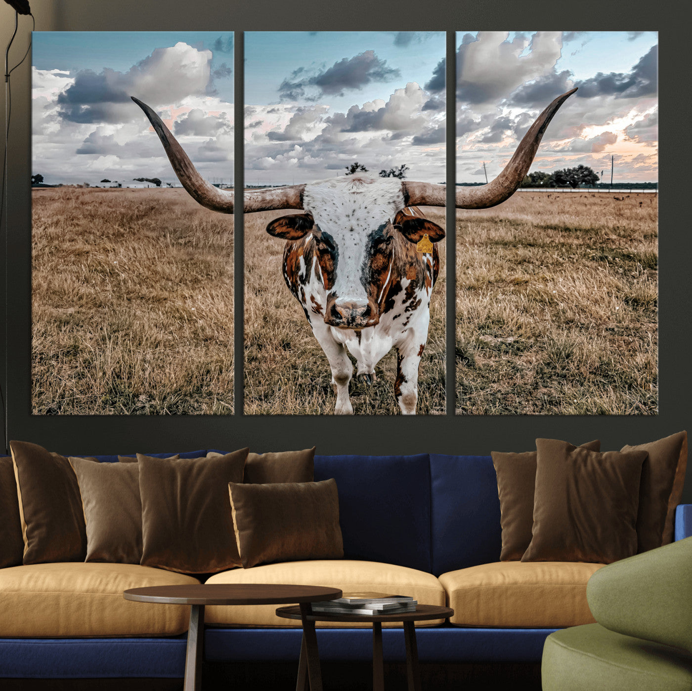 17464823-MGV-CV-36X24 - Texas Longhorn Canvas Wall Art Print - Western Cow Photography, Rustic Ranch Decor, Farmhouse Wall Art, Ready to Hang