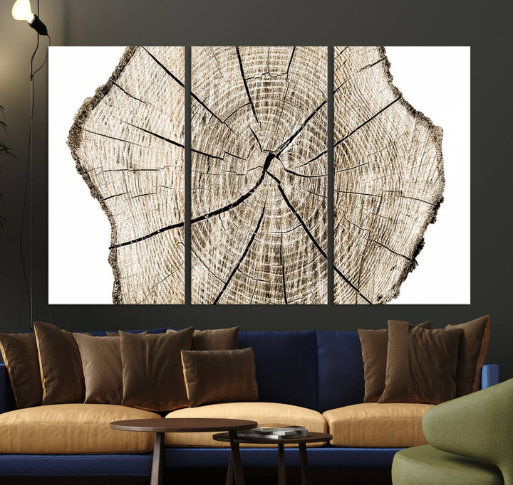 The Abstract Wood Tree Ring Wall Art set of 3 adds a minimalist touch to the space.