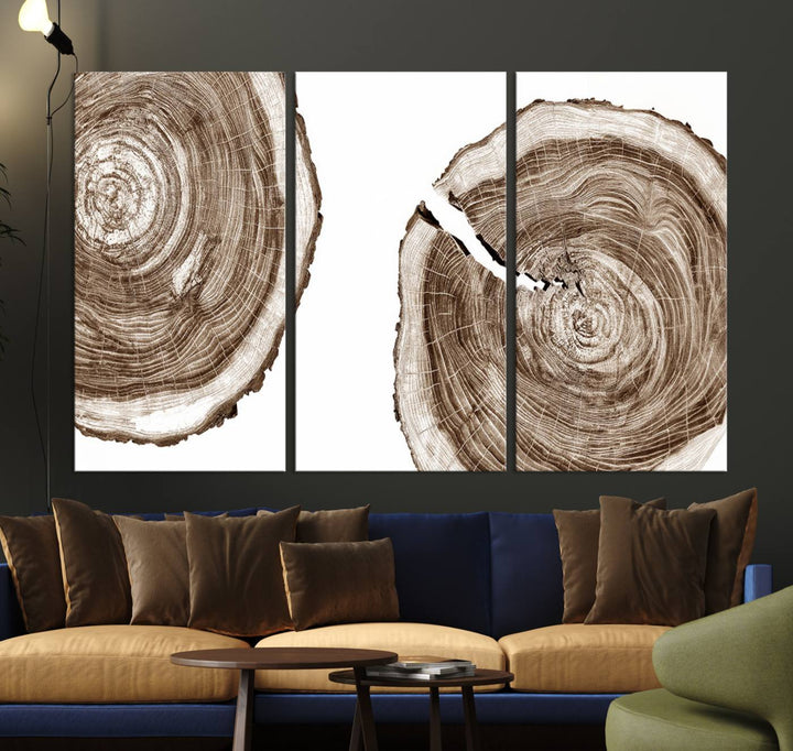 Wood Tree Ring Wall Art on a minimalist black and white canvas.