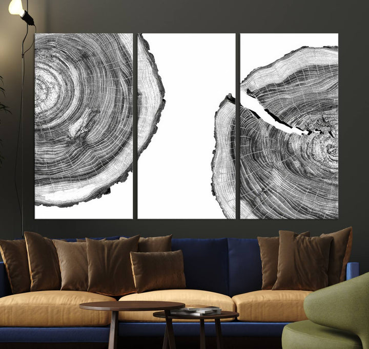 The minimalist art piece Abstract Large Tree Rings on canvas creates a striking focal point.