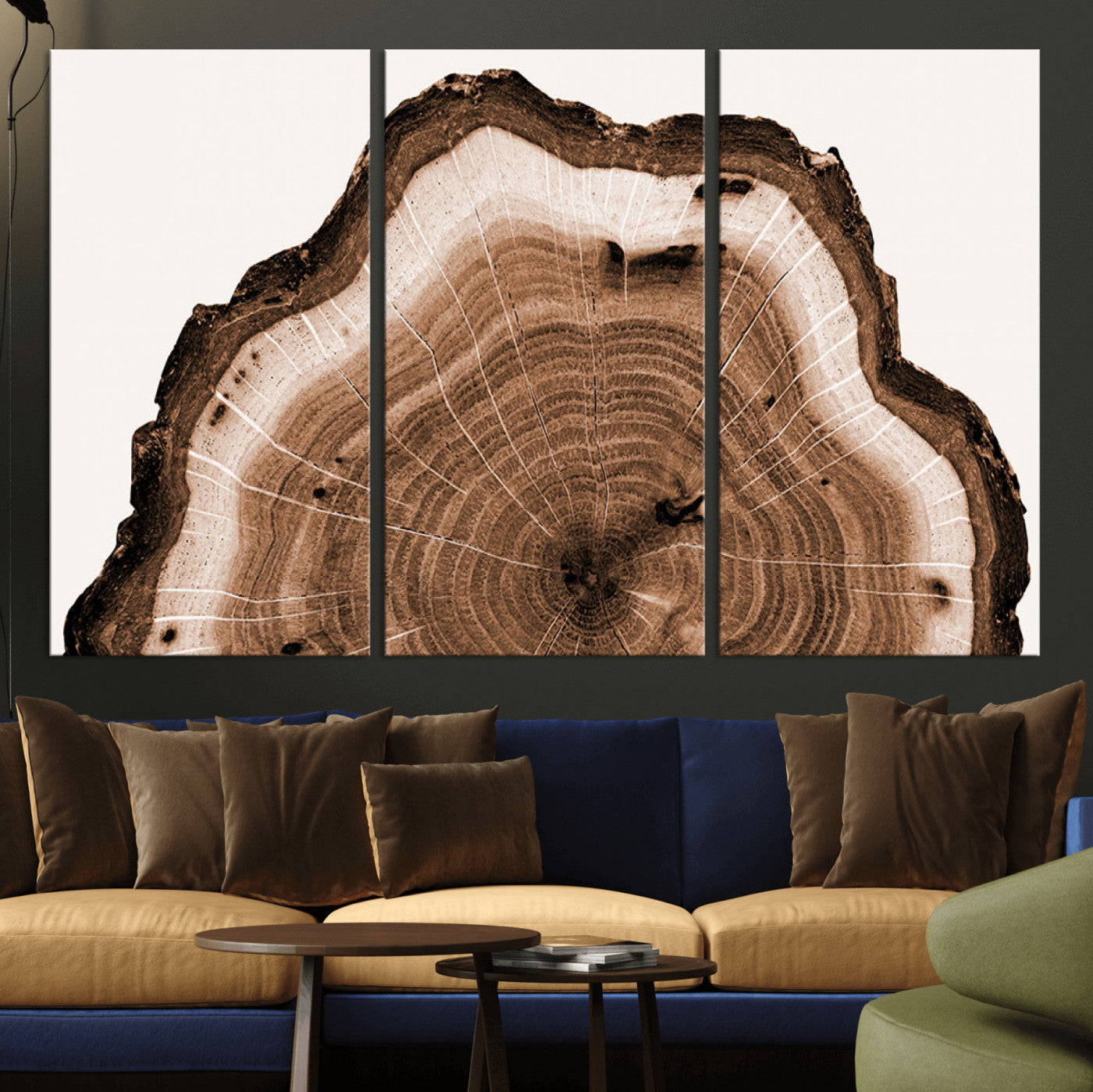 45195-MGV-CV-36X24-Rustic Wood Rings Wall Art | Nature-Inspired Tree Ring Canvas Print | Ready to Hang and Framed for