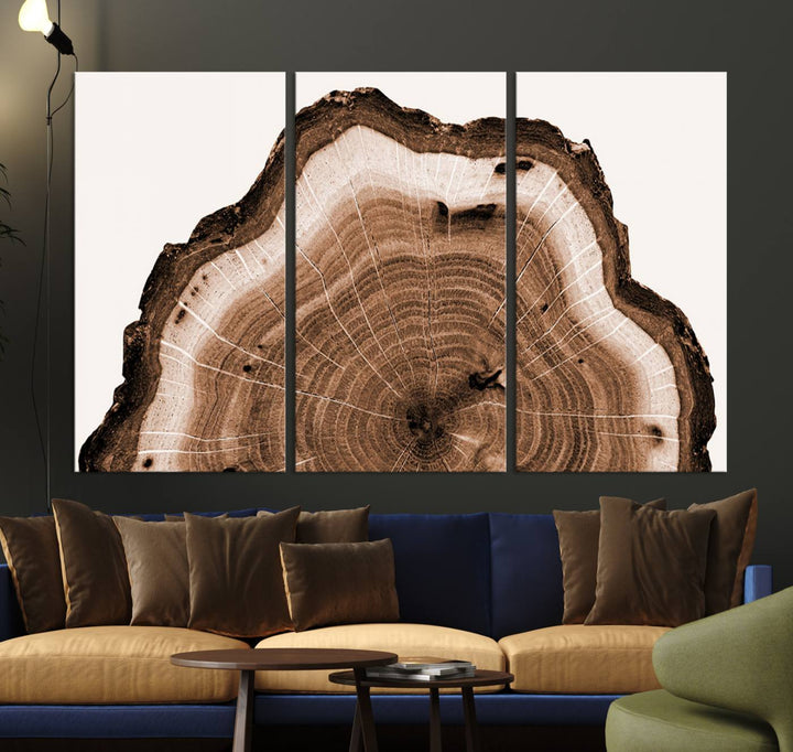 Rustic Wood Rings Wall Art | Nature-Inspired Tree Ring Canvas Print | Ready to Hang and Framed for Farmhouse Wall Decor