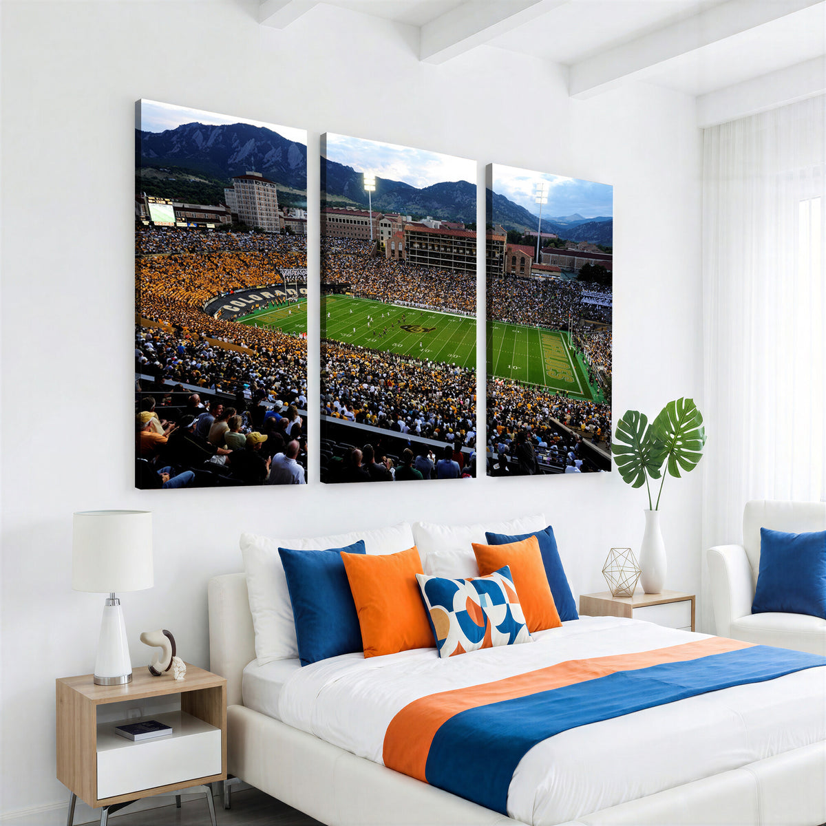 60552-MGV-CV-36X24 - Folsom Field, University of Colorado Buffaloes Football