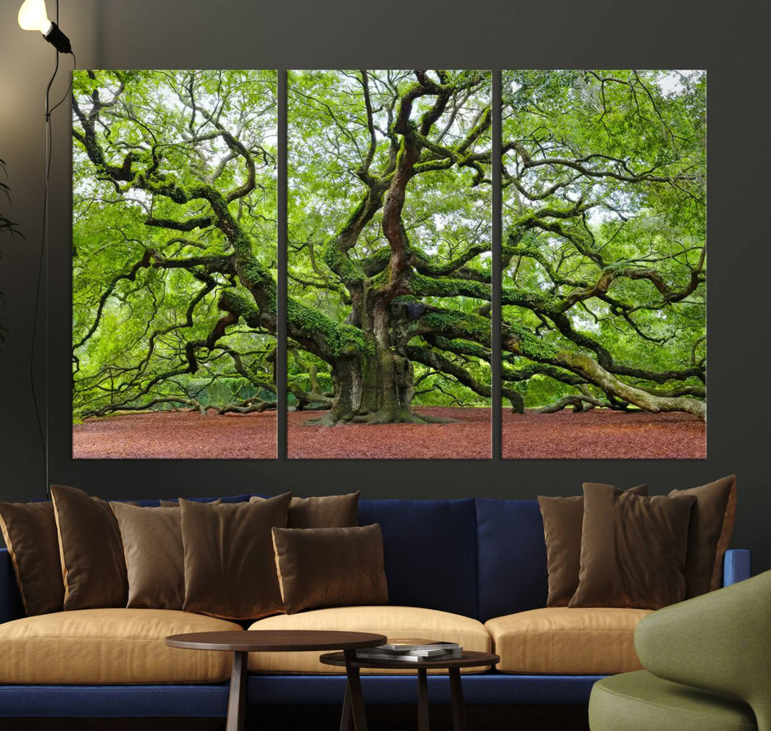 Framed Angel Oak Tree Wall Art - 3-Panel Canvas Prints, Large Green Nature Artwork, Ready to Hang Home Decor for Living Room, Office, Bedroom