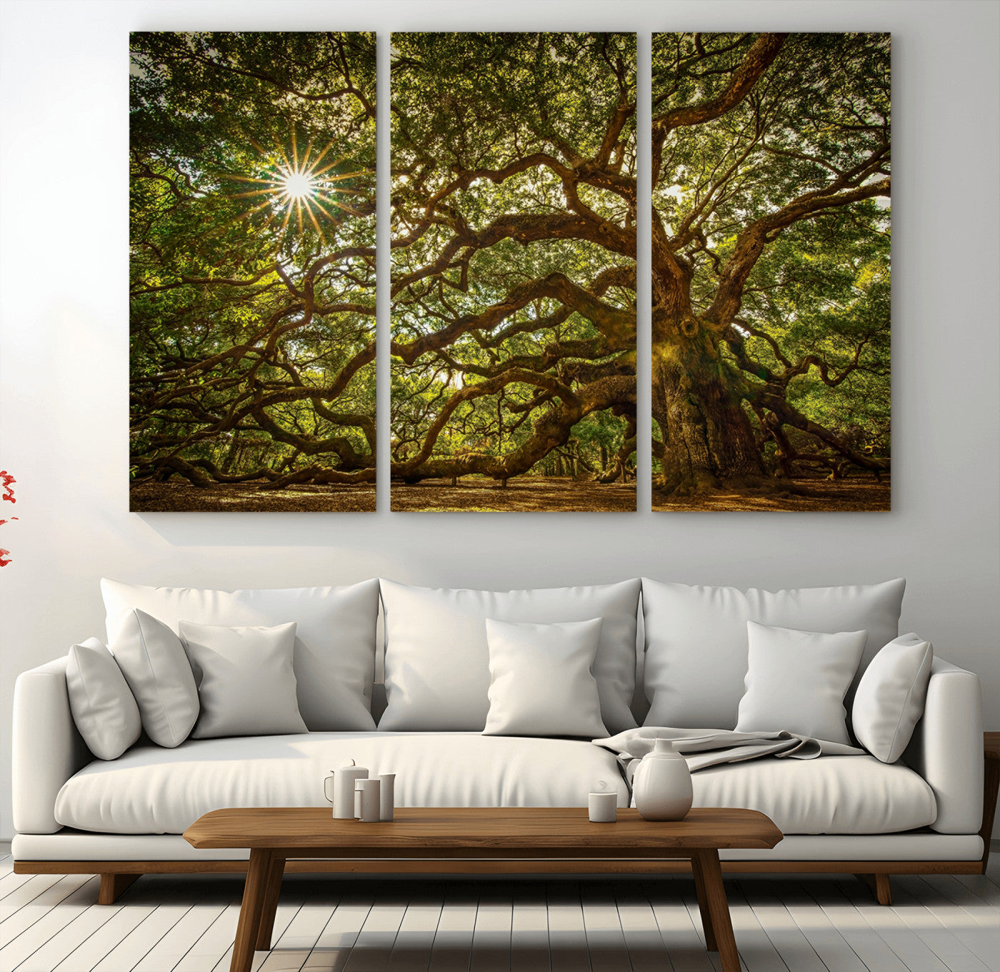 MGV-CV-48X32-3P - Ancient Angel Oak Tree Art Sunburst Canvas Print- Nature-Inspired Triptych Canvas Print, Framed,