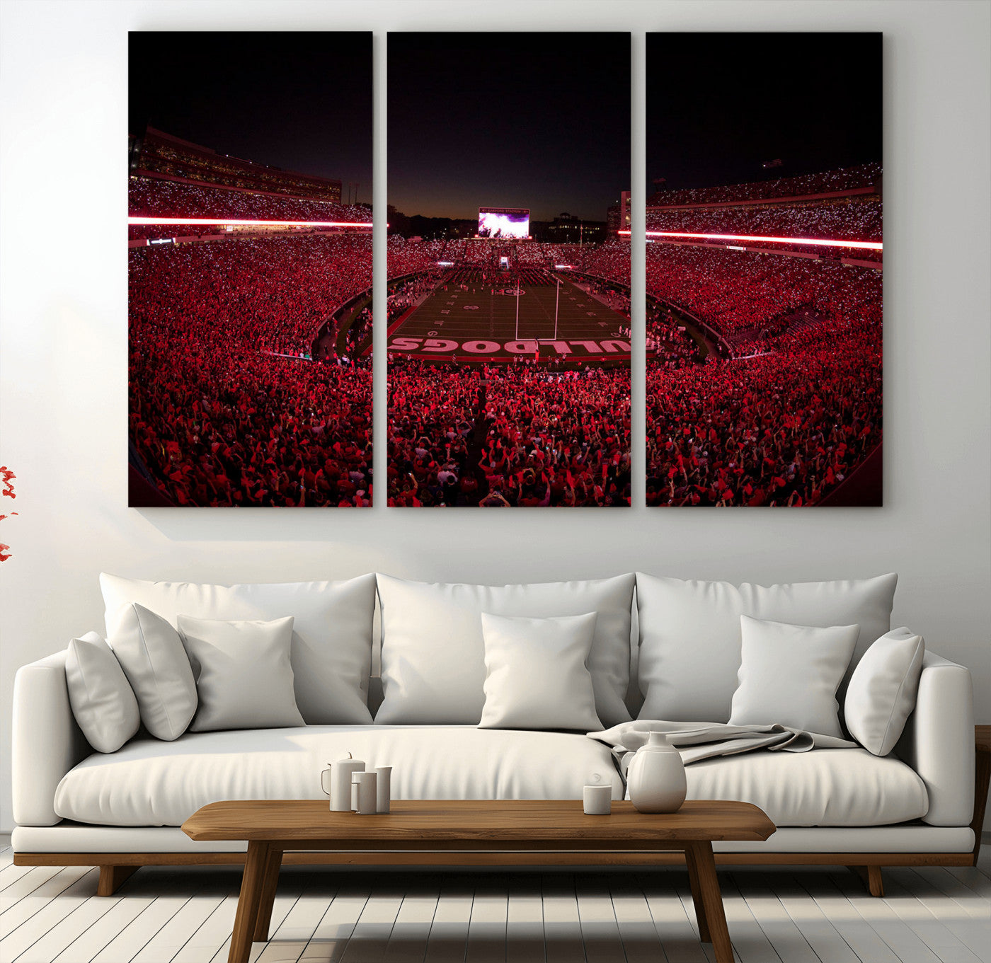 Dooley Stadium Wall Art Print, Sports Arena Canvas Wall Art, Dooley Field at Sanford Stadium Canvas Print, Modern Athletic Field Art Printing
