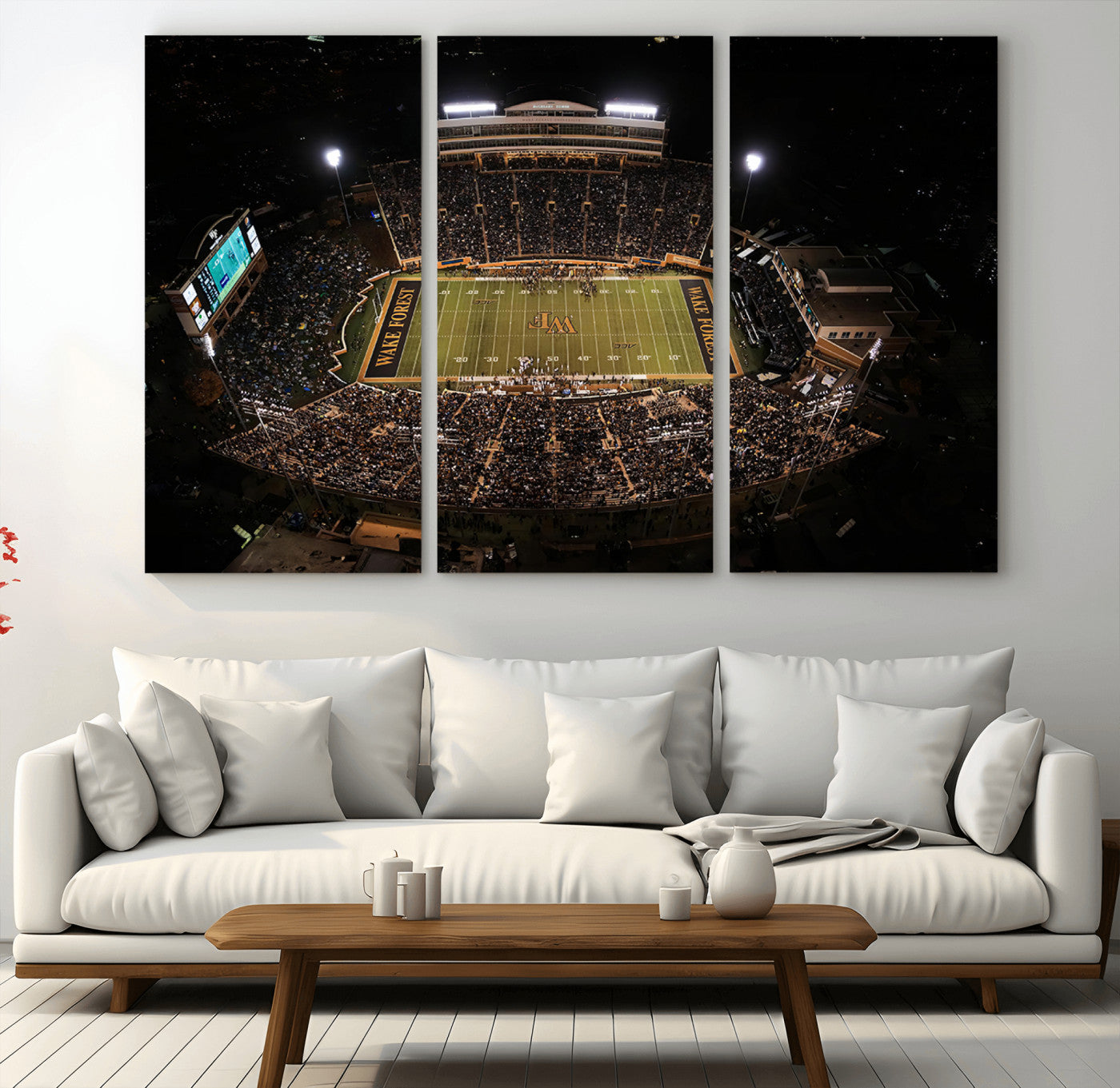 MGV-CV-48X32-3P - Wake Forest University Demon Deacons Canvas Printi, Football Team Print - Winston-Salem Allegacy