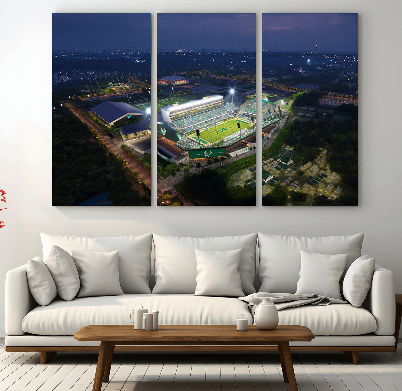 27554-MGV-CV-36X24-The University of South Florida Bulls Football Team Print - Tampa USF Football Stadium Wall Art