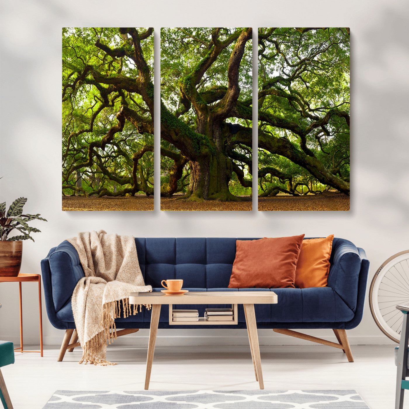 MGV-CV-48X32-3P - Angel Oak Tree Wall Art Canvas Print | Forest Tree Nature Photography Print on Canvas | Large Triptych Art for Living Room or Office Decor