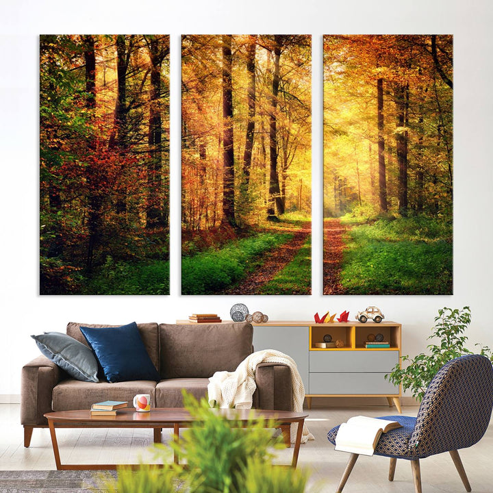 The Sunlight Through Trees Wall Art Canvas Print showcases a sunlit autumn forest and includes UV protection to ensure lasting vibrance.