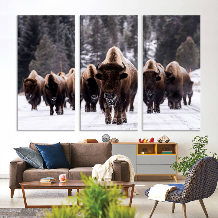 Bison Herd Canvas Wall Art.