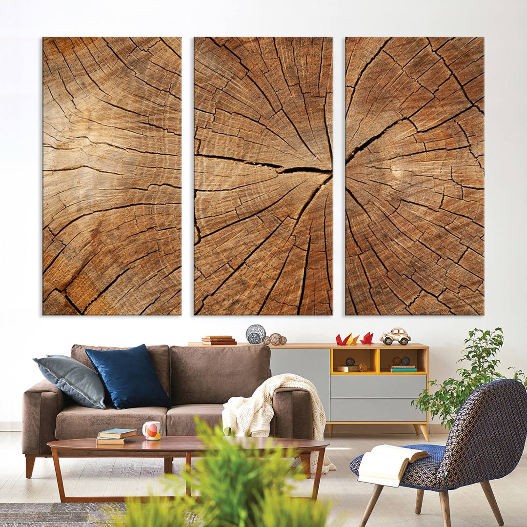 Tree Ring Canvas Art decorates a textured wall.