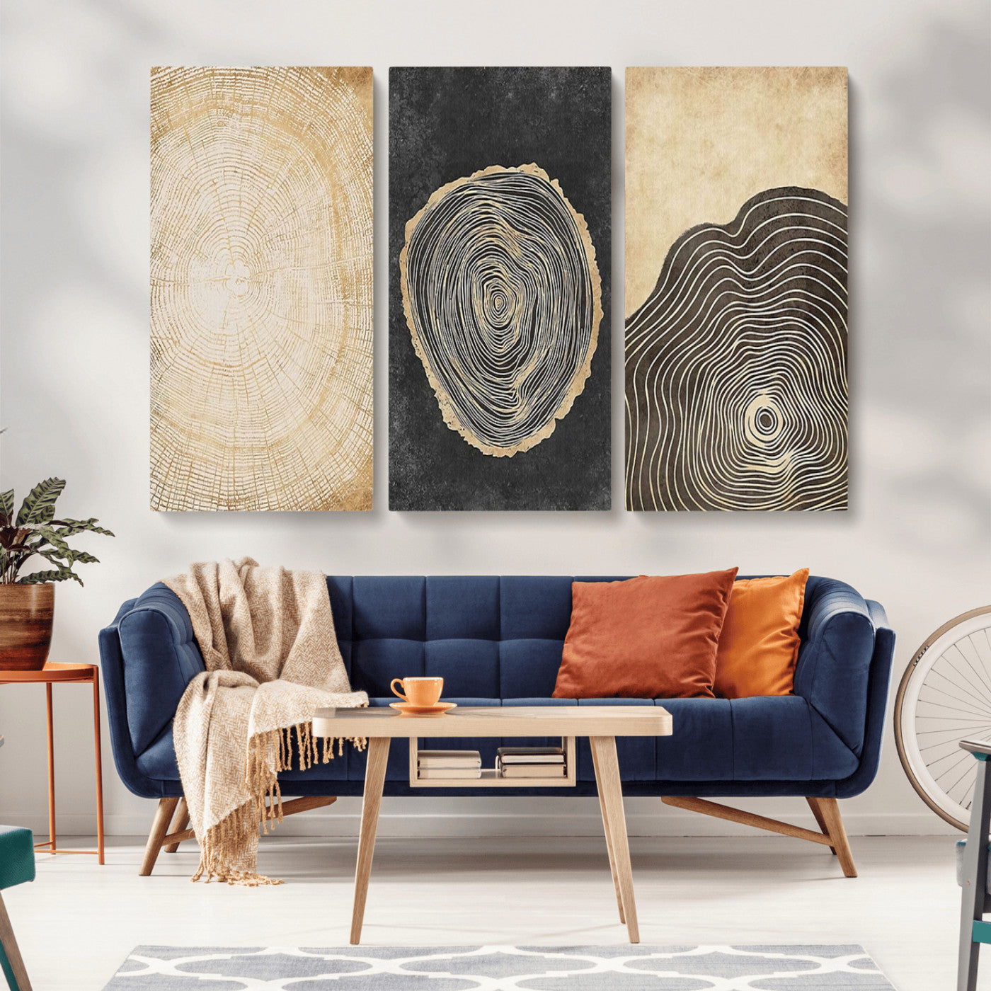 MGV-CV-48X32-3P - Tree Rings Canvas Wall Art Print – Minimalist Natural History in Modern Decor - Minimalist Boho Wall