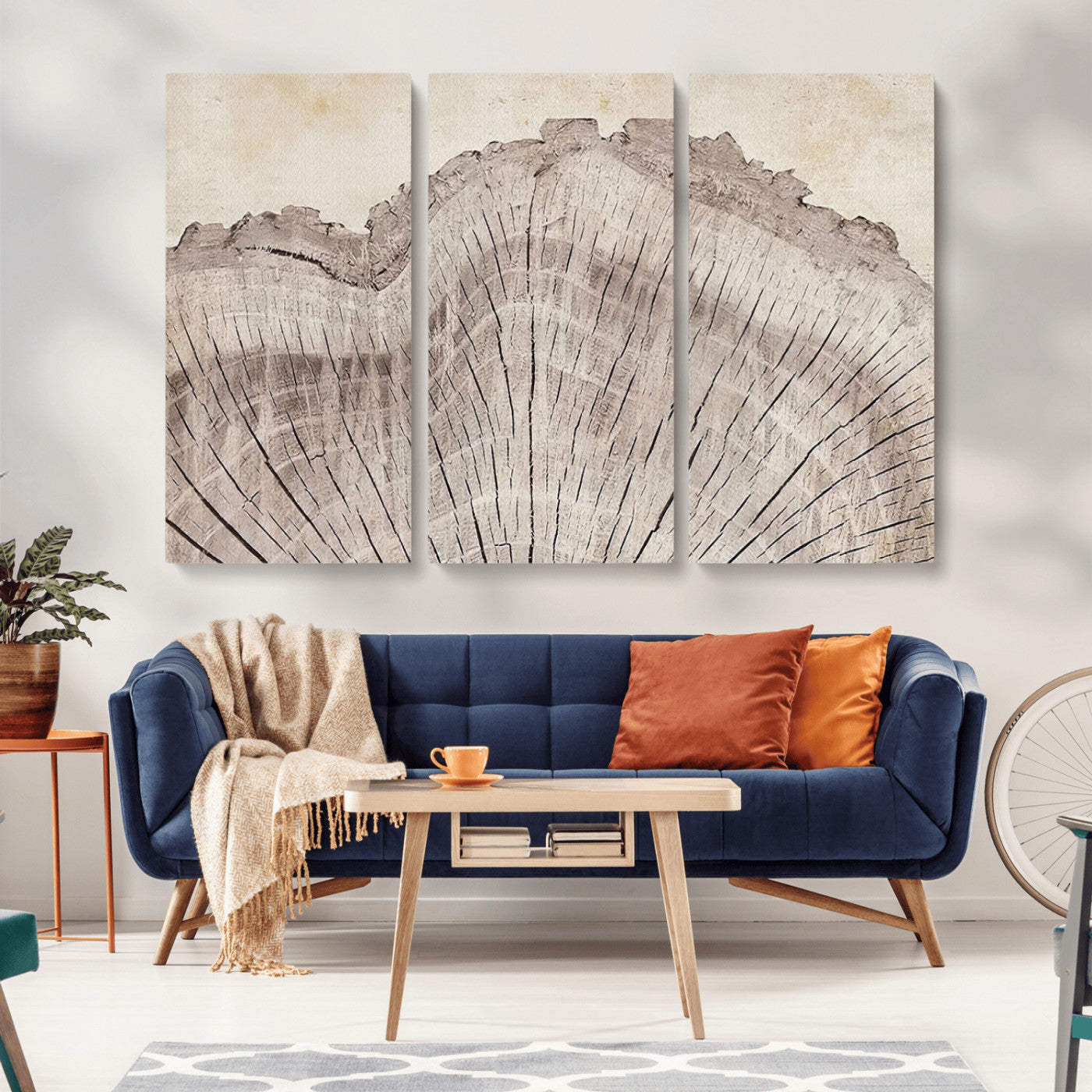MGV-CV-48X32-3P - Tree Ring Wall Art Triptych, Rustic Wood Ring Canvas Print, Minimalist Wall Decor for Modern Homes and Farmhouse Decor