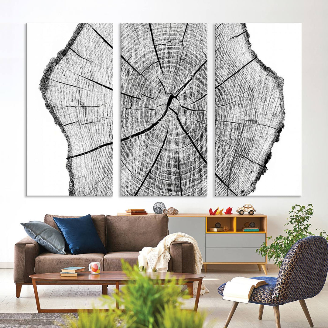 Black and white tree ring art print.