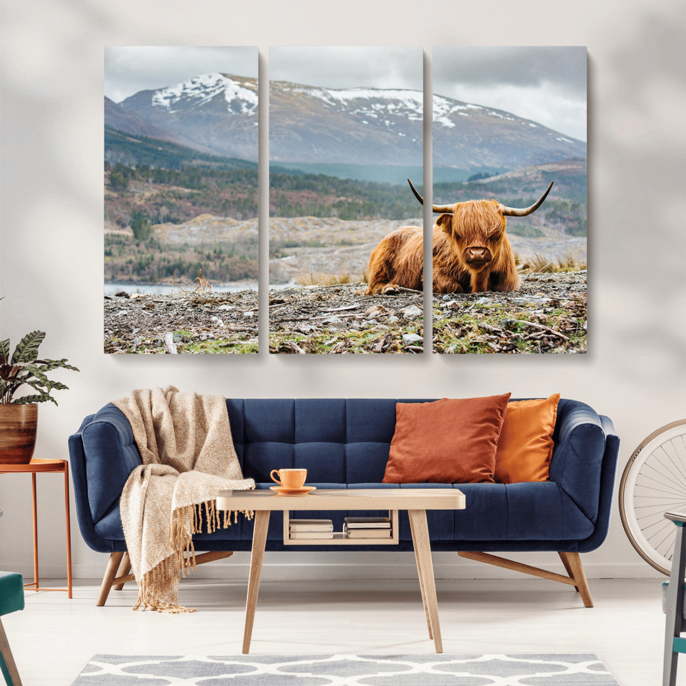 -Highland Cow Horn Farm Wall Art Canvas Print