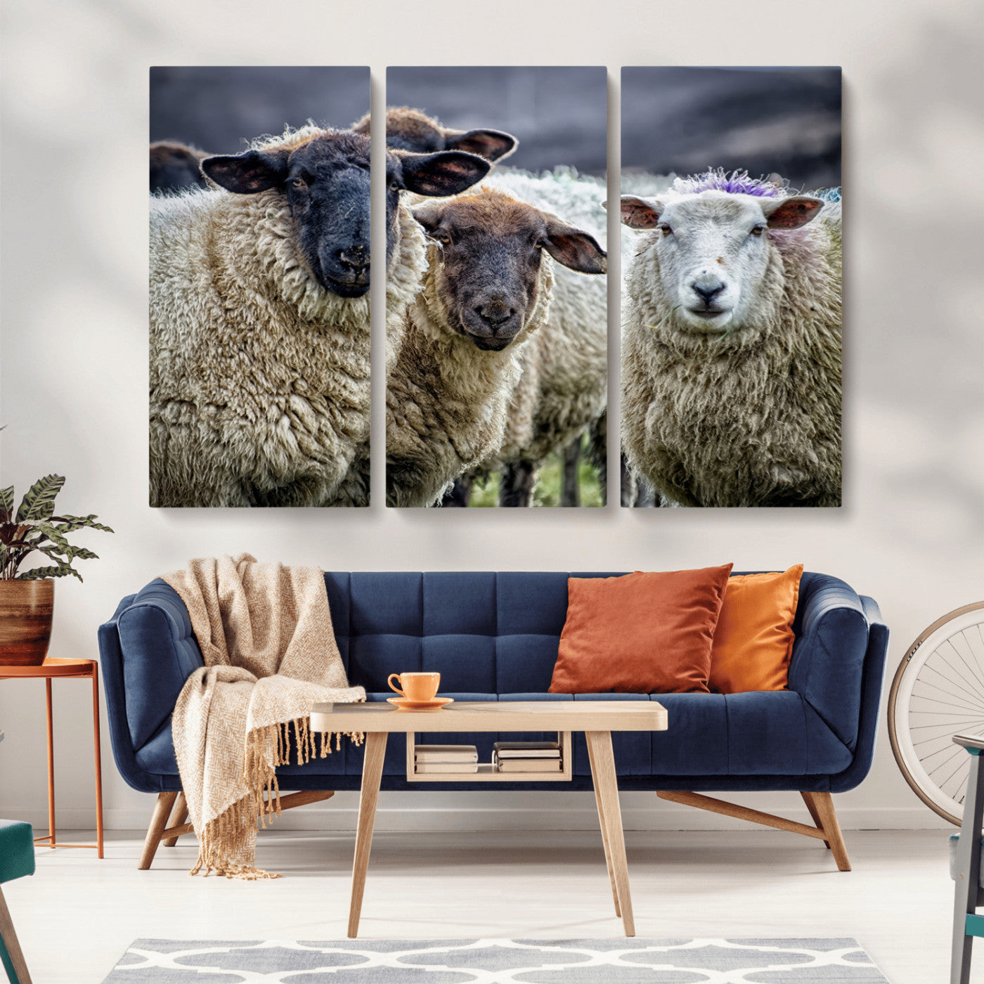 -Charming Sheep Portrait Wall Art – Trio of Woolly Companions Canvas Print, Framed, Ready to Hang