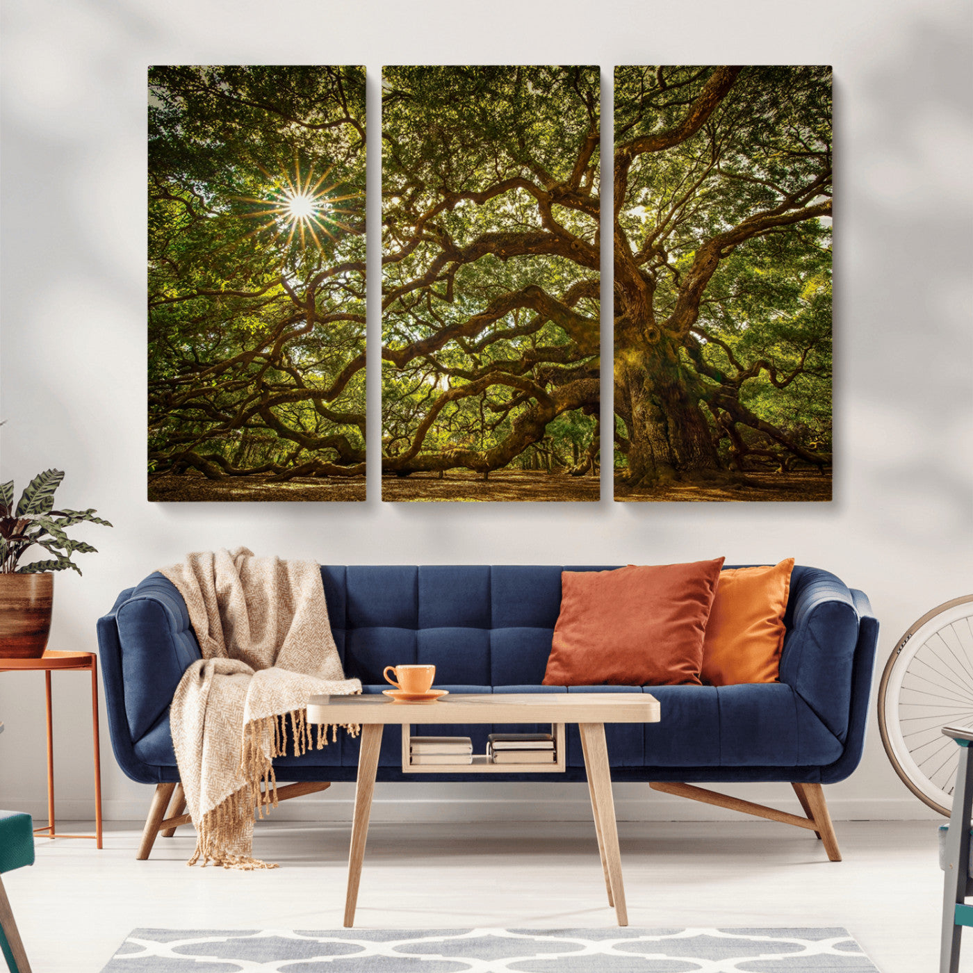 MGV-CV-48X32-3P - Ancient Angel Oak Tree Art Sunburst Canvas Print- Nature-Inspired Triptych Canvas Print, Framed, Ready to Hang