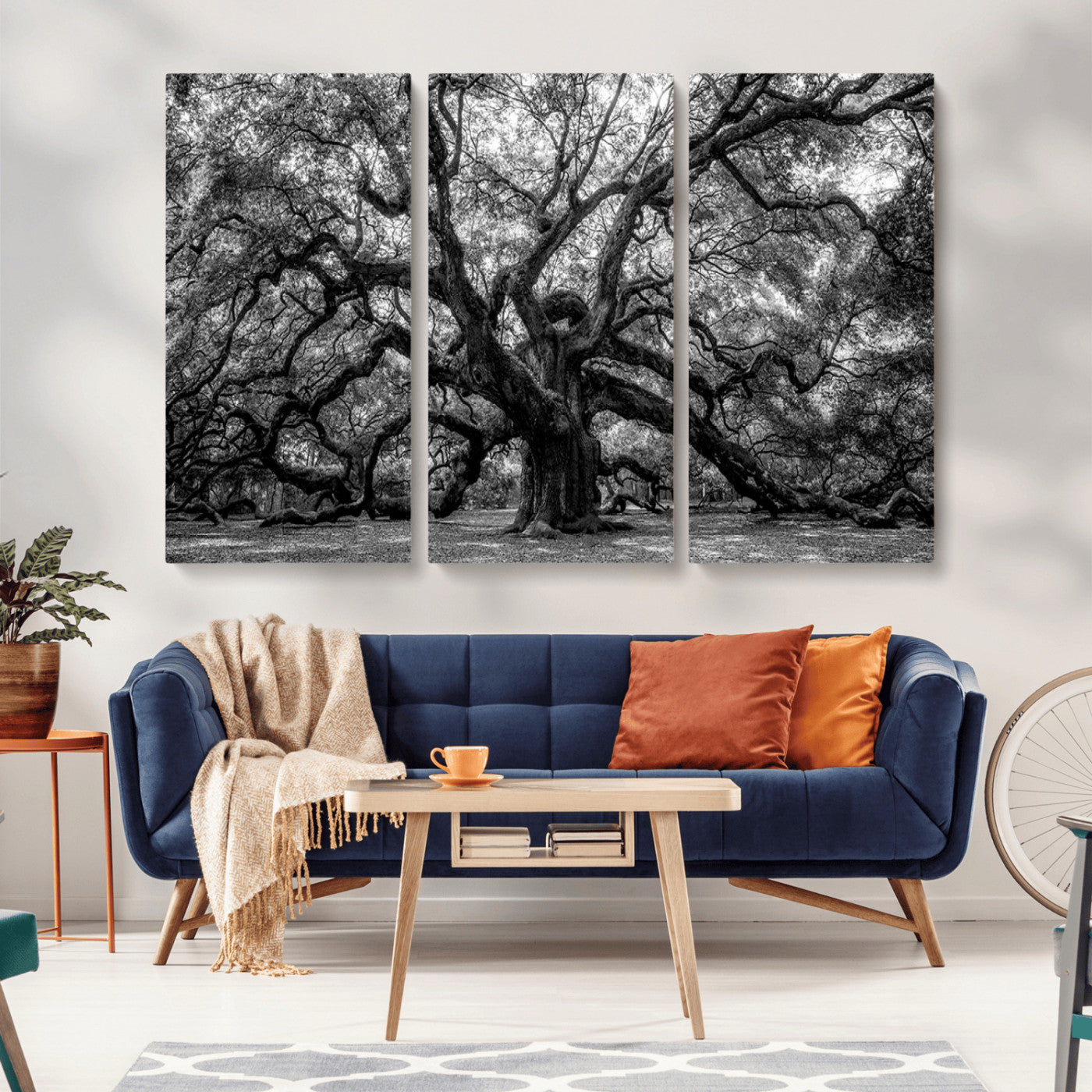 MGV-CV-48X32-3P - Black and White Old Angel Oak Tree Wall Art Canvas Print