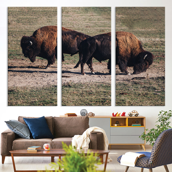 Bison Photography Wall Art Canvas Print, Framed Western Wildlife Art Picture Print, Modern Ranch Perfect Western Rustic Decor Artwork