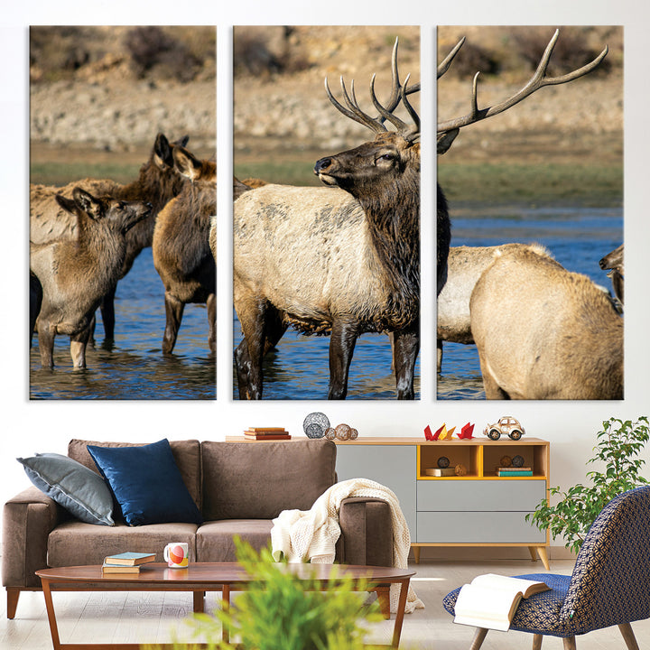 Group of elk standing in shallow water with dry rocky terrain in the background, showcasing wildlife in a natural setting for rustic decor.