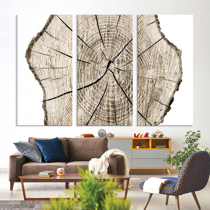 The Abstract Wood Tree Ring Wall Art set of 3 adds a minimalist touch to the space.