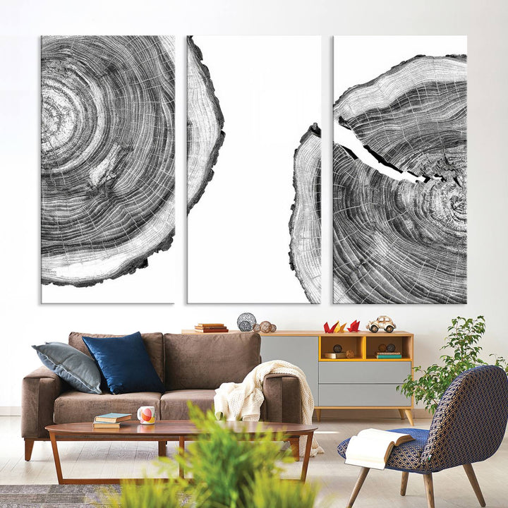 The minimalist art piece Abstract Large Tree Rings on canvas creates a striking focal point.