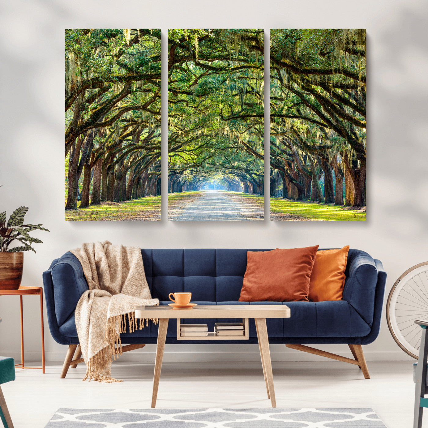 MGV-CV-48X32-3P - Wormsloe State Plantation Driveway Wall Art Canvas Print