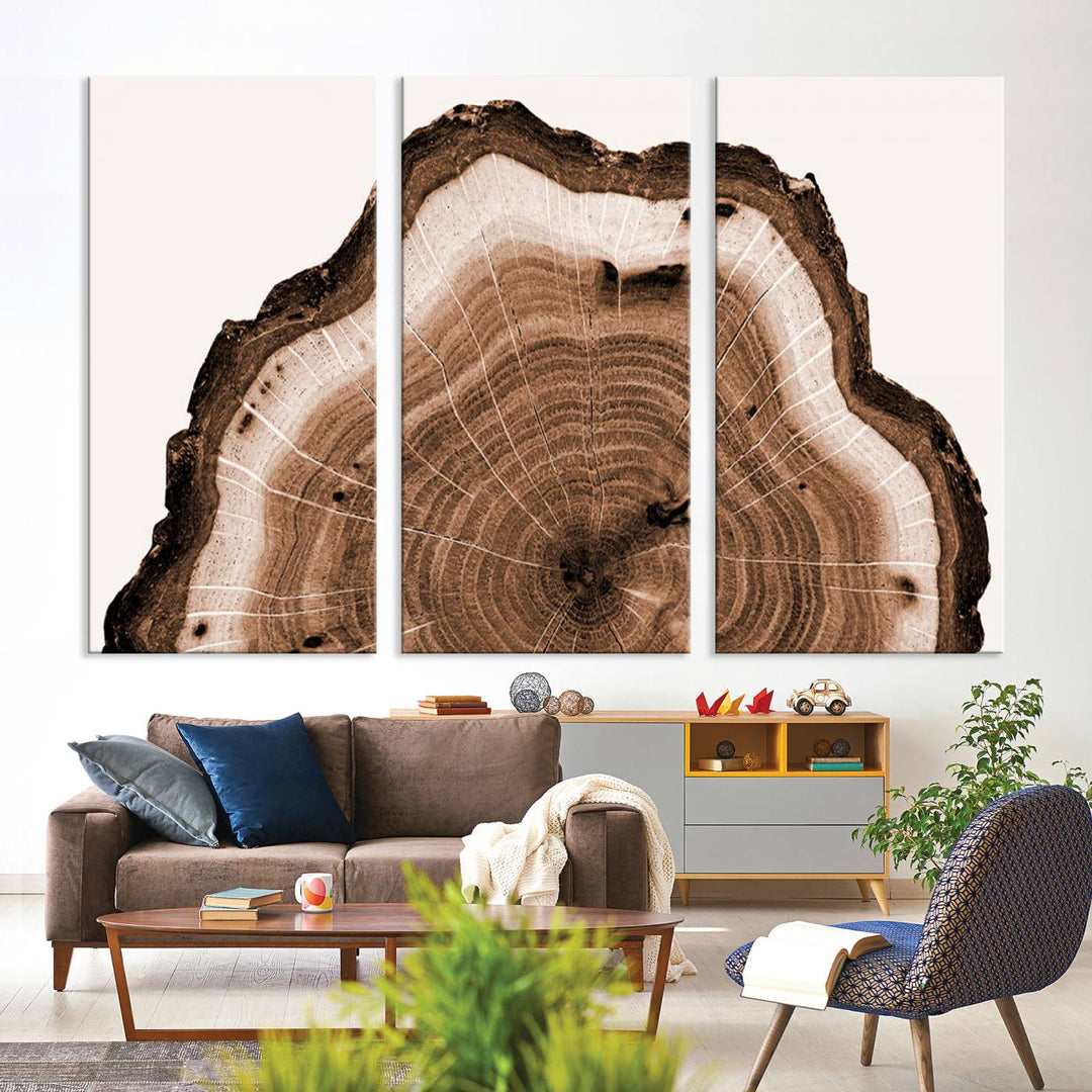 Rustic Wood Rings Wall Art | Nature-Inspired Tree Ring Canvas Print | Ready to Hang and Framed for Farmhouse Wall Decor