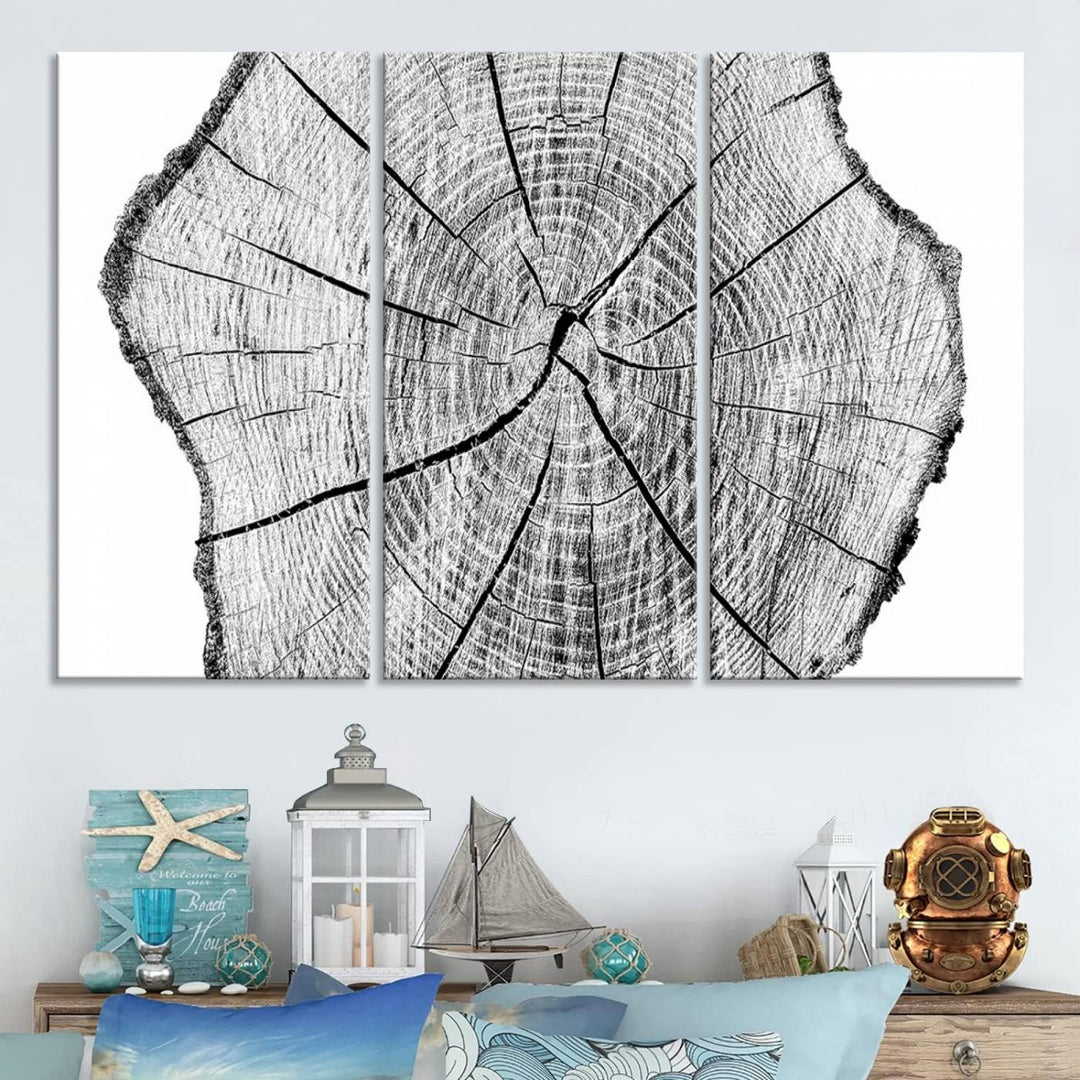 Black and white tree ring art print.