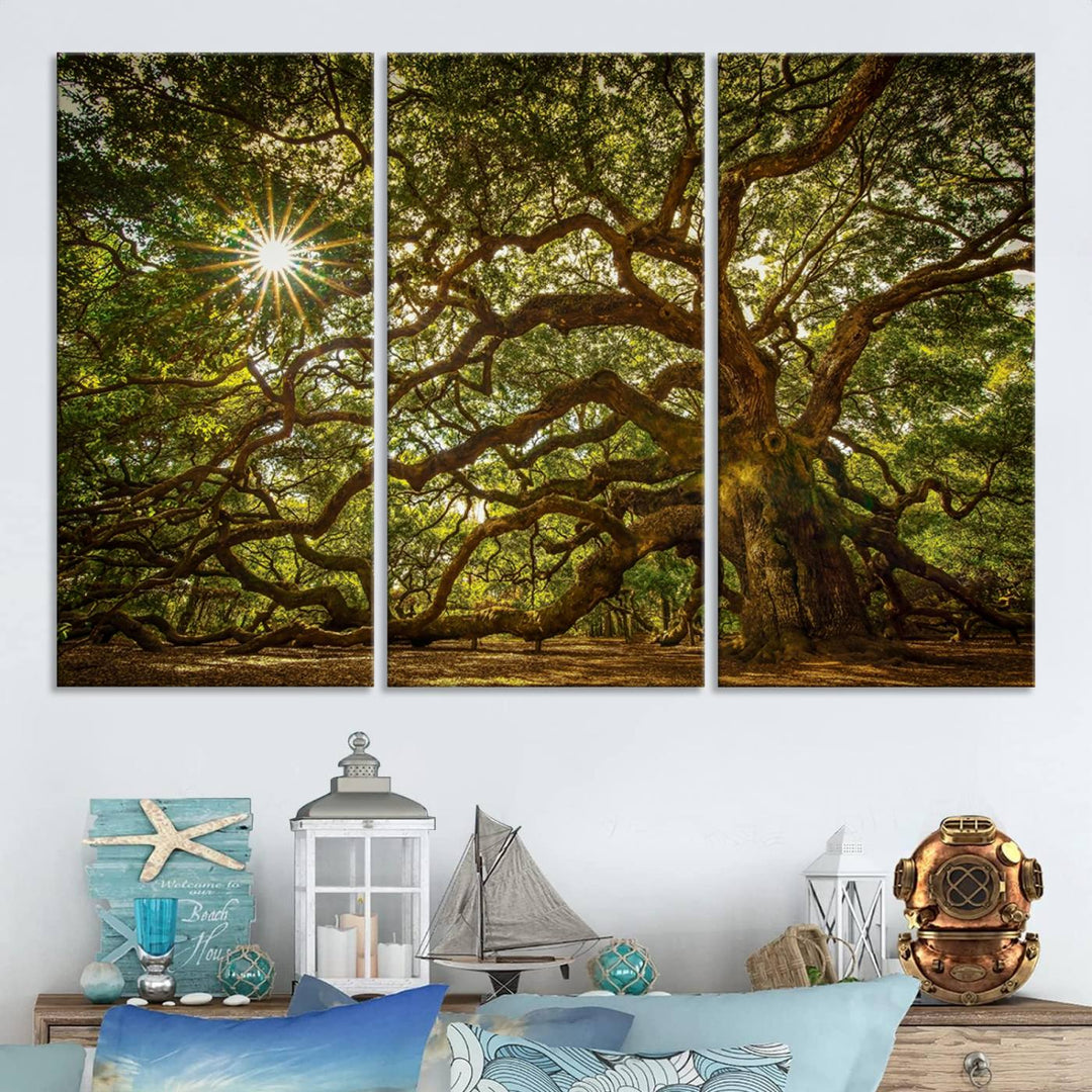 The Ancient Angel Oak Tree Art Sunburst Canvas Print, a framed triptych, serves as wall art.