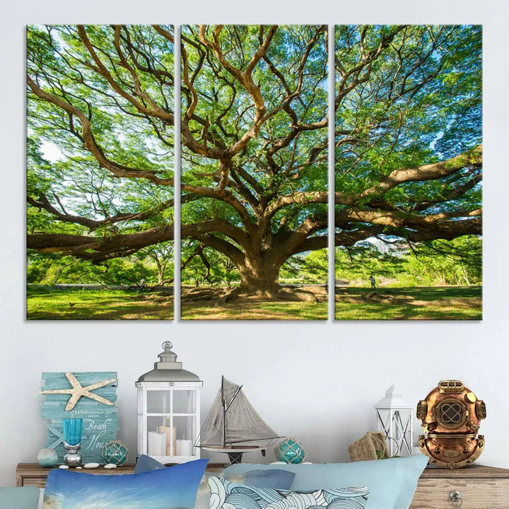 The Angel Oak Tree Wall Art, a multi-panel canvas print showcasing a large tree with sprawling branches and green leaves in a style reminiscent of the majestic Angel Oak Tree, elegantly adorns the wooden wall in the living room.