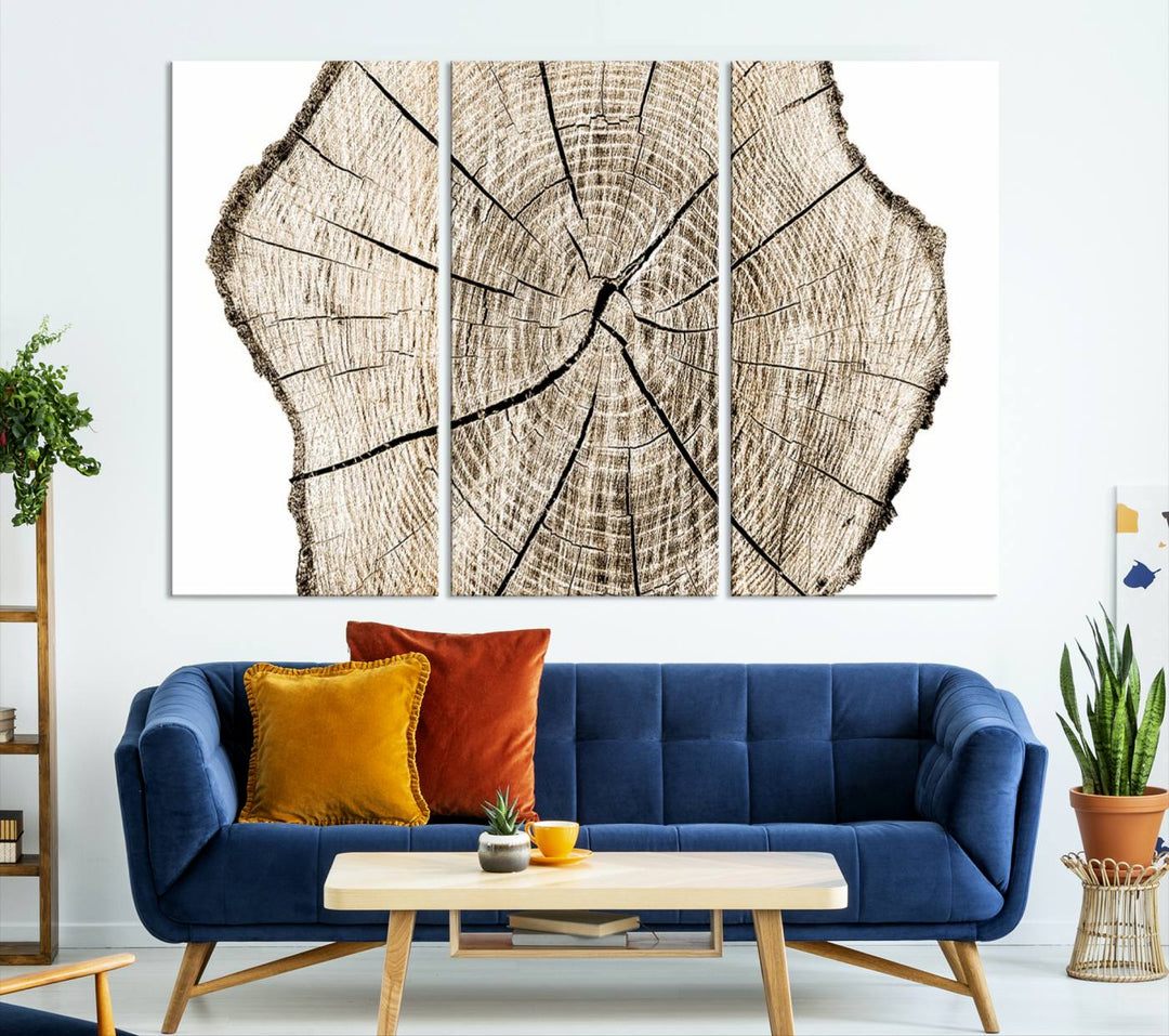 The Abstract Wood Tree Ring Wall Art set of 3 adds a minimalist touch to the space.