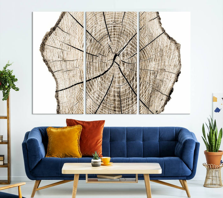 The Abstract Wood Tree Ring Wall Art set of 3 adds a minimalist touch to the space.