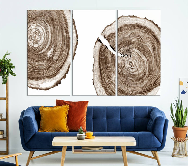 Wood Tree Ring Wall Art on a minimalist black and white canvas.