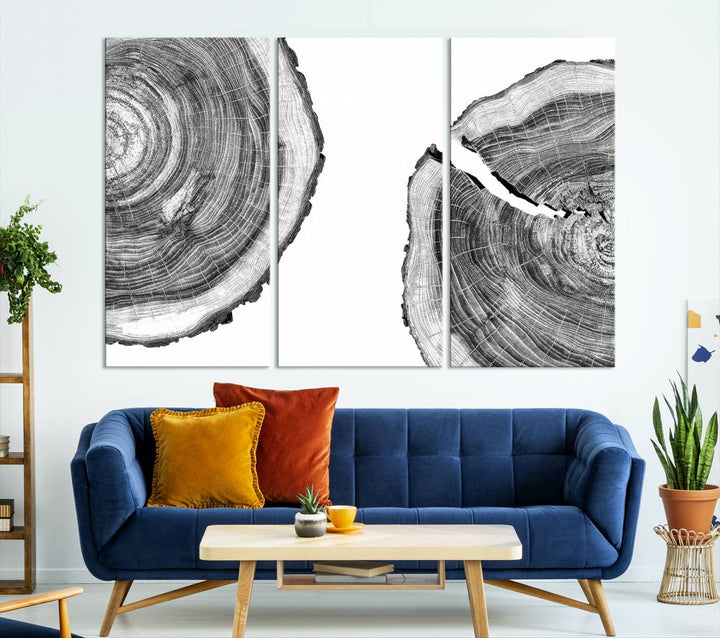 The minimalist art piece Abstract Large Tree Rings on canvas creates a striking focal point.