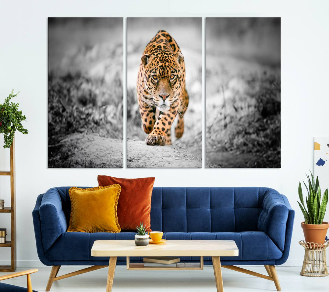 A striking three-panel "Jaguar Stalking Wall Art Canvas Print - Majestic Big Cat in Focused Pursuit" features a leopard walking forward, set against a black and white background.