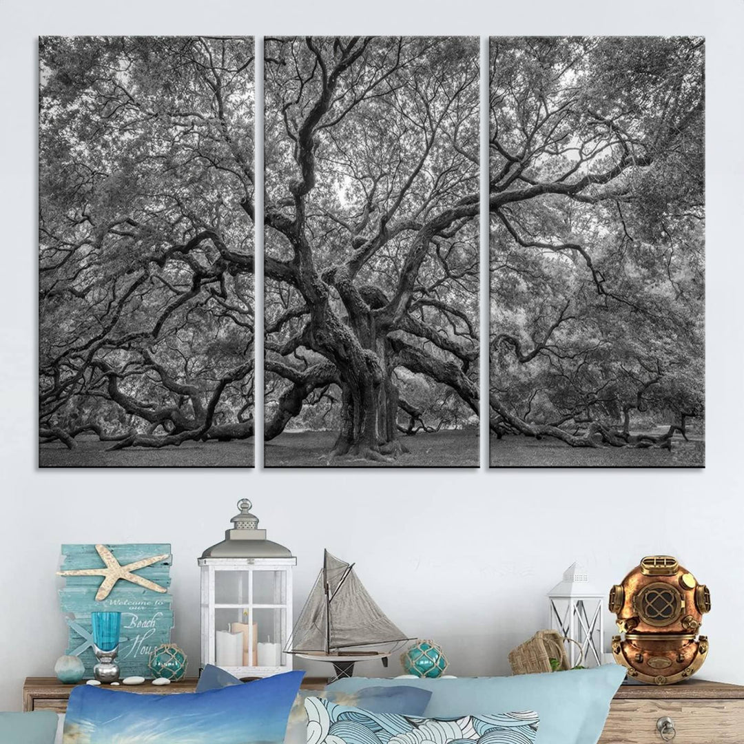 Majestic Angel Oak Tree Black and White Canvas Print – Multi Panel Wall Art, Giclée Print, Ready to Hang Nature Photography for Home Decor