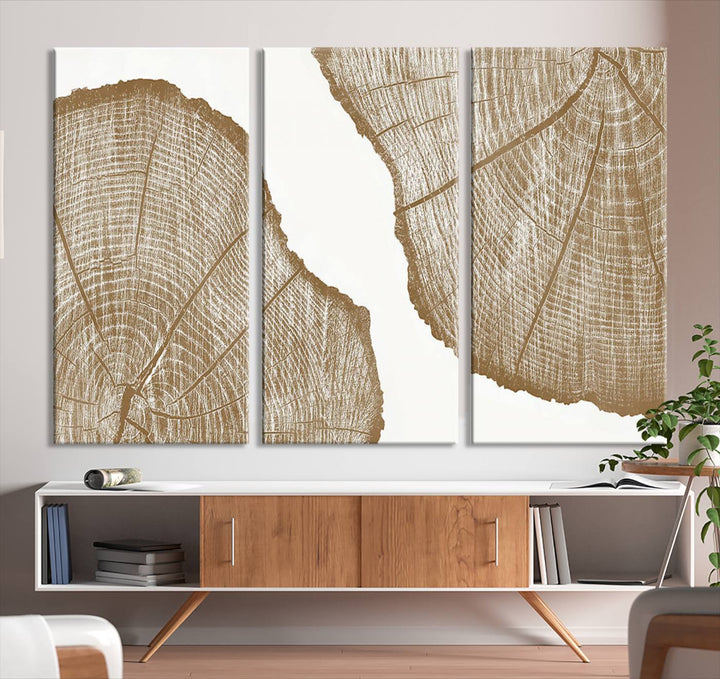 The rustic wall art features two large tree rings, beautifully framed and displayed to create a nature-inspired décor.