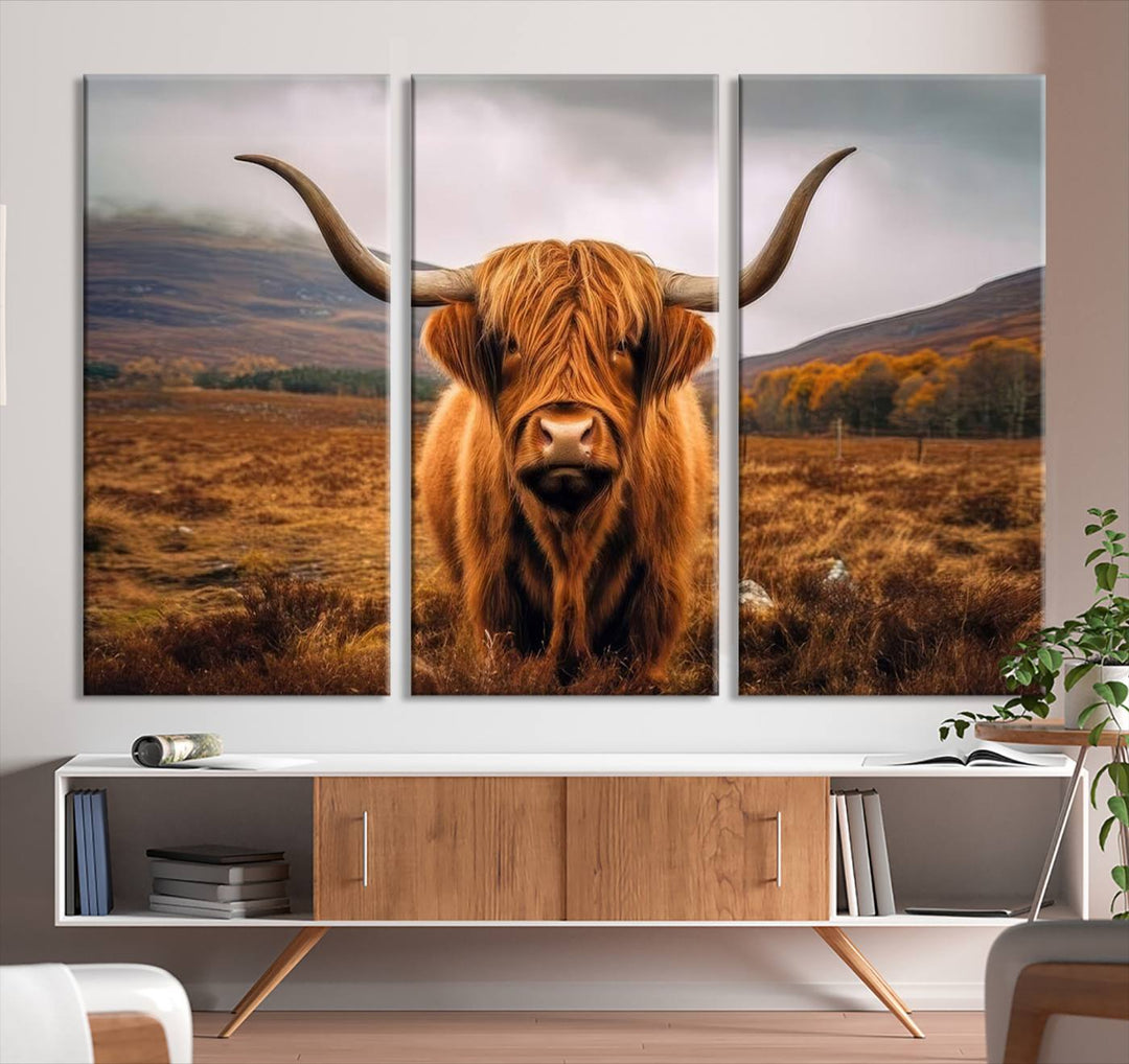 Highland Cow Longhorn Canvas Print, framed, on a wooden wall.