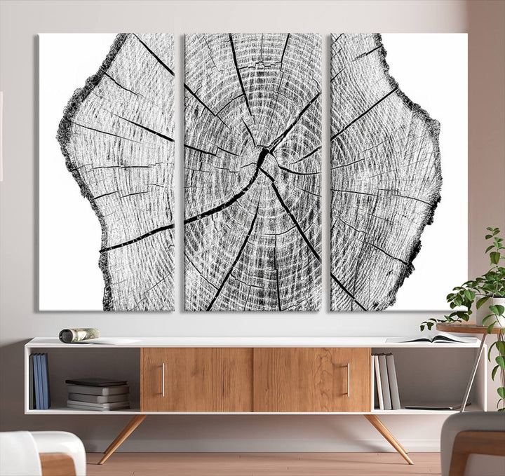 Black and white tree ring art print.