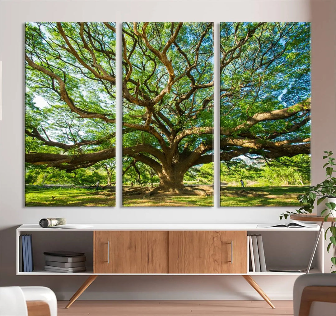 The Angel Oak Tree Wall Art, a multi-panel canvas print showcasing a large tree with sprawling branches and green leaves in a style reminiscent of the majestic Angel Oak Tree, elegantly adorns the wooden wall in the living room.