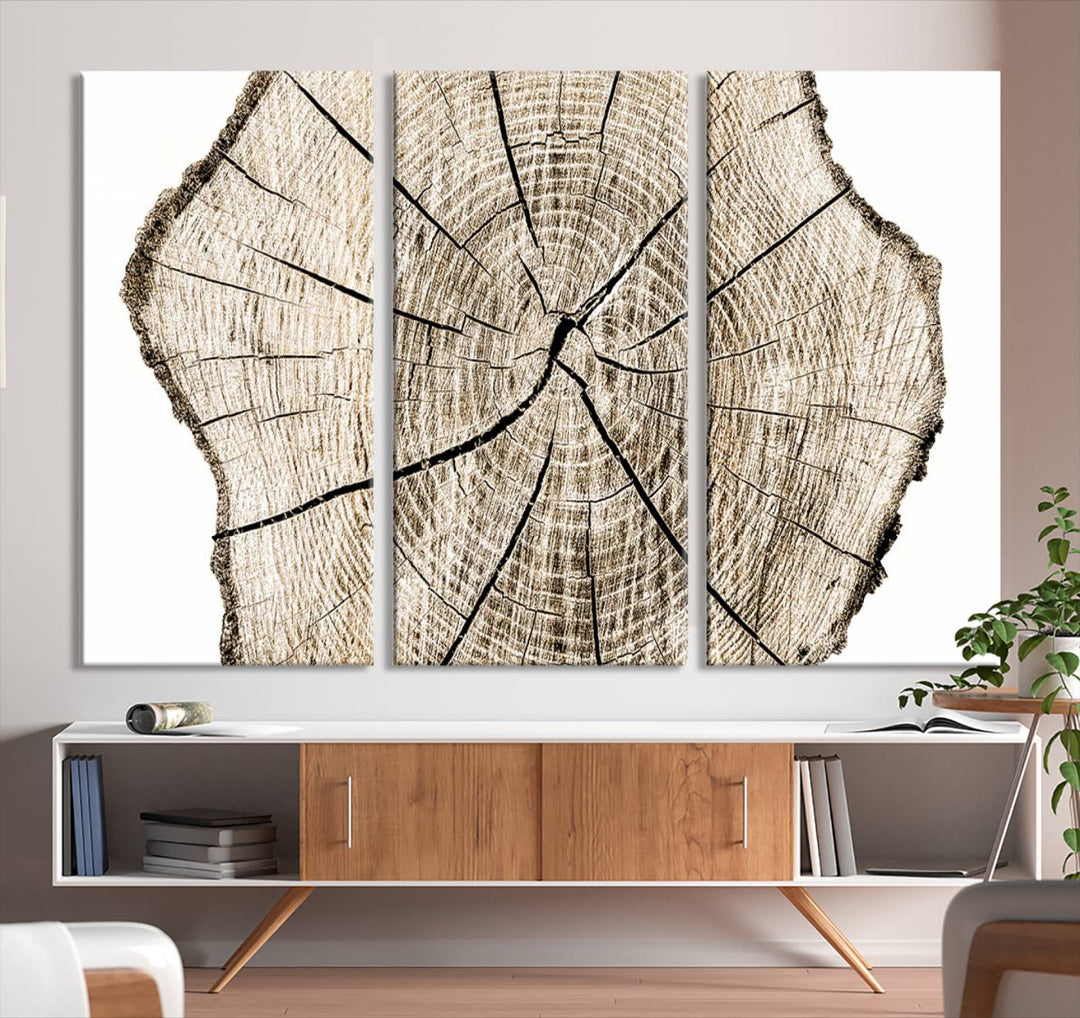 The Abstract Wood Tree Ring Wall Art set of 3 adds a minimalist touch to the space.