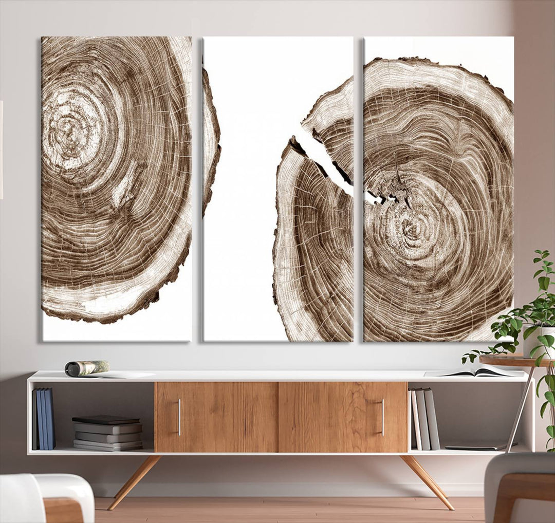 Wood Tree Ring Wall Art on a minimalist black and white canvas.