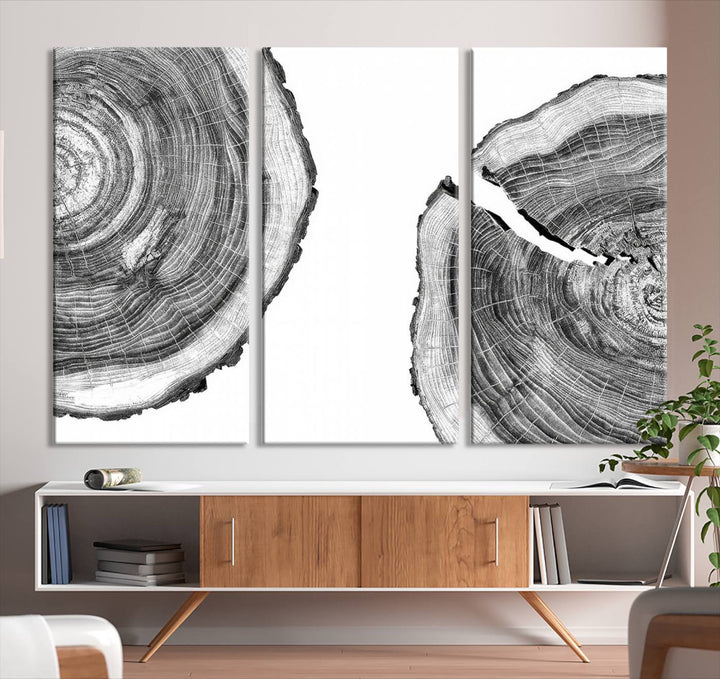 The minimalist art piece Abstract Large Tree Rings on canvas creates a striking focal point.