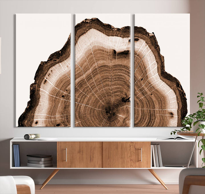 Rustic Wood Rings Wall Art | Nature-Inspired Tree Ring Canvas Print | Ready to Hang and Framed for Farmhouse Wall Decor